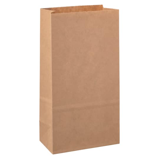 Large Paper Treat Bags by Celebrate It